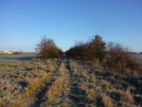 /album/fotogalerie-krasy-nasi-honitby/p1060100-jpg/