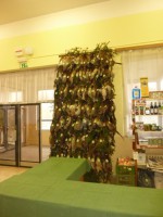 /album/fotogalerie-myslivecky-ples-2013-/p1060487-jpg/