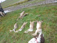 /album/fotogalerie-hon-14-12-2014/p1080079-jpg/